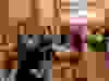 095a8083